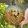 Golden Retriever Lovers' Tiffany Stained Glass Amber Gold Blue Sunburst Dog Portrait Art Stained Glass Suncatcher - 2
