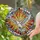 Art Lovers' Tiffany Stained Glass Flying Dove Vibrant Jewel Tone Sky Mosaic Stained Glass Suncatcher - 2