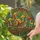 Nature Lovers' Vibrant Tiffany Style Stained Glass Snail Mushroom Forest Floor Mosaic Jewel Tones Stained Glass Suncatcher - 4lz8RcK-Dl