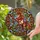 Horse Lovers' Majestic Prancing Horse Jewel Tone Tiffany Stained Glass Mosaic with Swirling Patterns Stained Glass Suncatcher - 2