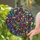 Peace Advocates' Intricate Tiffany Style Stained Glass Peace Symbol Mosaic Jewel Tones Red Blue Green Yellow Stained Glass Suncatcher - 2