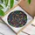 Peace Advocates' Intricate Tiffany Style Stained Glass Peace Symbol Mosaic Jewel Tones Red Blue Green Yellow Stained Glass Suncatcher - 3