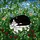 Cat Lovers' Intricate Jewel Tone Tiffany Stained Glass Tuxedo Cat Garden Mosaic Stained Glass Suncatcher - 5