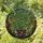 Plant Lovers' Lush Monstera Deliciosa Stained Glass Art with Jewel Tones & Bold Lead Lines Stained Glass Suncatcher - CUTRxNHIf2