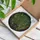 Plant Lovers' Lush Monstera Deliciosa Stained Glass Art with Jewel Tones & Bold Lead Lines Stained Glass Suncatcher - G--gxkzYYi