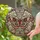 Nature & Art Lovers' Tiffany Stained Glass Emperor Moth Intricate Jewel Tone Floral Celestial Art Stained Glass Suncatcher - 0_1dDPEViO