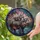 Wildlife Art Admirers' Intricate Tiffany Stained Glass Hippo Family River Mosaic Indigo Blue Violet Peach Stained Glass Suncatcher - 2