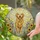 Golden Retriever Lovers' Tiffany-Style Stained Glass Wildflower Golden Retriever Jewel Tone Art Pattern Stained Glass Suncatcher - 2