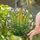 Nature Lovers' Tiffany Style Golden Green Stained Glass Fern Frond Botanical Mosaic Pattern Stained Glass Suncatcher - 2