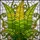 Nature Lovers' Tiffany Style Golden Green Stained Glass Fern Frond Botanical Mosaic Pattern Stained Glass Suncatcher - 5