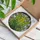 Nature Lovers' Tiffany Style Golden Green Stained Glass Fern Frond Botanical Mosaic Pattern Stained Glass Suncatcher - 3
