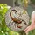 Intricate Art Lovers' Bold Tiffany Style Stained Glass Scorpion, Radiant Stars & Jewel Tone Mosaic Stained Glass Suncatcher - uCjo82yFzx