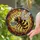 Nature Lovers' Tiffany Stained Glass Honeybee Teacup Golden Amber Blue Organic Mosaic Stained Glass Suncatcher - wcRGbuOTjT