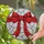 Holiday Enthusiasts' Translucent Stained Glass Red Bow Intricate Crimson Orange Mosaic Art Stained Glass Suncatcher - 2