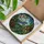 Nature Lovers' Vibrant Tiffany Stained Glass Bluebird & Intricate Green Foliage Mosaic Stained Glass Suncatcher - CdgvXPuPjN