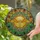 Art Enthusiasts' Intricate Tiffany Stained Glass Caduceus Wings Yellow Teal Orange Green Mosaic Stained Glass Suncatcher - 2
