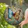Nature Lovers' Jewel Tone Morpho Butterfly Tiffany Style Stained Glass Art Pattern Stained Glass Suncatcher - 2