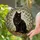 Cat Lovers' Elegant Black Cat Tiffany Stained Glass Emerald Green Eyes Amber Gold Mosaic Stained Glass Suncatcher - 2