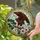 Stained Glass Art Enthusiasts' Tiffany Style Bald Eagle, Pink Flowers, Golden Amber Web Mosaic Stained Glass Suncatcher - 2