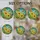 Cat Lovers' Vibrant Jewel Tone Sunflower Cat Stained Glass Garden Pattern Stained Glass Suncatcher - 4