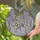 Art Lovers' Tiffany-Inspired Cascading Wisteria Jewel Tone Floral Mosaic Stained Glass Suncatcher - 2