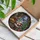 Christmas Art Lovers' Detailed Tiffany Stained Glass Jolly Santa Fireplace Christmas Tree Moonlight Sleigh Scene Jewel Tones Stained Glass Suncatcher - 6toJeG2ONb