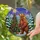 Festive Nature Lovers' Tiffany Stained Glass Bear Christmas Tree Winter Forest Mosaic Jewel Tones Stained Glass Suncatcher - 2