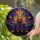 Art & Decor Enthusiasts' Tiffany Style Stained Glass Lit Candles Jewel Tone Geometric Mosaic Stained Glass Suncatcher - skV58gGncZ