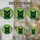Cat Lovers' Stained Glass Black Cat Portrait Emerald Green Yellow Mosaic Aura Design Stained Glass Suncatcher - 4
