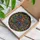 Fantasy Art Enthusiasts' Intricate Stained Glass Monster Jewel Tone Thorn Mosaic Stained Glass Suncatcher - 3