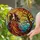Fantasy Art Enthusiasts' Enchanting Witch Stained Glass Art Jewel Tone Orange Teal Mosaic Edge-to-Edge Stained Glass Suncatcher - 2