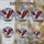 Art & Wildlife Lovers' Intricate Tiffany Glass Bald Eagle Descending Flight Mosaic, Jewel Tones Stained Glass Suncatcher - 4