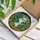 Autumn Art Lovers' Jewel Tone Stained Glass Friendly Ghost Monstera Garden Stained Glass Suncatcher - 3