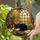 Cat & Book Lovers' Tiffany Stained Glass Black Cat Cozy Golden Window Mosaic, Jewel Tone Interior Stained Glass Suncatcher - 2