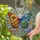 Art Lovers' Tiffany Stained Glass Butterfly Botanical Mosaic Jewel Tones Design Stained Glass Suncatcher - 2