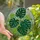 Botanical Art Lovers' Intricate Tiffany Stained Glass Monstera Deliciosa Forest Green Jewel Tones Stained Glass Suncatcher - 1