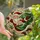 Holiday Enthusiasts' Glowing Stained Glass Santa Claus Festive Red Green Amber Mosaic Stained Glass Suncatcher - 1