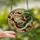 Holiday Enthusiasts' Glowing Stained Glass Santa Claus Festive Red Green Amber Mosaic Stained Glass Suncatcher - 2