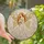 Women's Ethereal Tiffany Stained Glass Fairy Pink Gold Lavender Floral Mosaic Iridescent Wings Stained Glass Suncatcher - 1