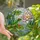 Nature Lovers' Tiffany Stained Glass Red-Eyed Tree Frog, Lotus Lily Pad Mosaic Art Stained Glass Suncatcher - dfDtcxNIV1
