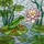 Nature Lovers' Tiffany Stained Glass Red-Eyed Tree Frog, Lotus Lily Pad Mosaic Art Stained Glass Suncatcher - 7