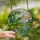 Nature Lovers' Tiffany Stained Glass Red-Eyed Tree Frog, Lotus Lily Pad Mosaic Art Stained Glass Suncatcher - meBeXTnh_J
