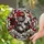 Hockey Fans' Vibrant Tiffany Style Stained Glass Hockey Equipment Art, Red Black White, Intricate Geometric Mosaic Stained Glass Suncatcher - 2