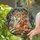 Shiba Inu Lovers' Vibrant Stained Glass Floral Mosaic Jewel Tone Pattern Stained Glass Suncatcher - 2