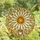 Nature Lovers' Tiffany Stained Glass Cream Daisy Golden Orange Center Rainbow Crystal Luminous Mosaic Stained Glass Suncatcher - 4