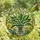Nature Lovers' Tiffany Style White Lily of the Valley Emerald Green Jewel Tone Spring Floral Art Stained Glass Suncatcher - 4