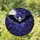 Mystical Art Lovers' Tiffany Stained Glass Bat Skull Deep Purple Amber Night Sky Stained Glass Suncatcher - 1