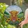 Countryside Charm Lover's Orange Gold Highland Cow Stained Glass Golden Sunflowers Lavender Hills Mosaic Stained Glass Suncatcher - 2