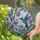 Nature Lovers' Vibrant Tiffany Style Stained Glass Hummingbird Pansy Mosaic Art Stained Glass Suncatcher - 3l7hIt8fIN