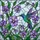 Nature Lovers' Vibrant Tiffany Style Stained Glass Hummingbird Pansy Mosaic Art Stained Glass Suncatcher - 5